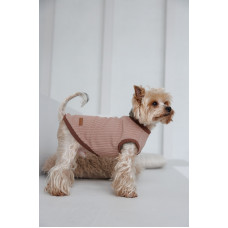 Свитер трикотажный PetFashion Funny для собак
