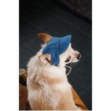 Кепка для собак PetFashion Den
