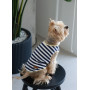 Майка для собак PetFashion Tropic