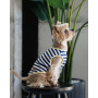 Майка для собак PetFashion Tropic