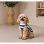 Майка для собак PetFashion Tropic