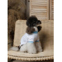 Футболка для собак PetFashion Polo