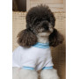 Футболка для собак PetFashion Polo