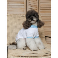 Футболка для собак PetFashion Polo