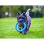 Кольцо для апортировки PitchDog, голубое