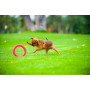 Кольцо для апортировки PitchDog, розовое