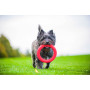 Кольцо для апортировки PitchDog, розовое