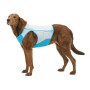 Охолоджуючий жилет для собак Ruffwear Swamp Cooler Zip, блакитний