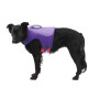 Рятувальний жилет для собак Ruffwear Float Coat™, фіолетовий