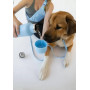 Термос со специальной миской для собак Dog & Me Springland, голубой, 710 мл + 240 мл