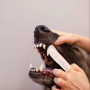 Vet Expert Caryodent Finger Wipes Серветки для чищення зубів котів і собак, 50 шт