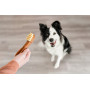 Лакомство для собак Whimzees Toothbrush в форме зубной щетки М, 12 шт