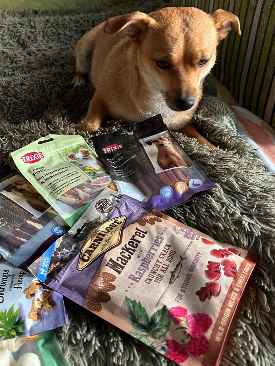 Ласощі для собак Carnilove Dog Crunchy Snack Mackerel with Raspberries для зміцнення імунітету у собак – зі скумбрією та малиною, 200 г Ласощі для собак Carnilove Dog Crunchy Snack Mackerel with Raspberries для зміцнення імунітету у собак – зі скумбрією та малиною, 200 г