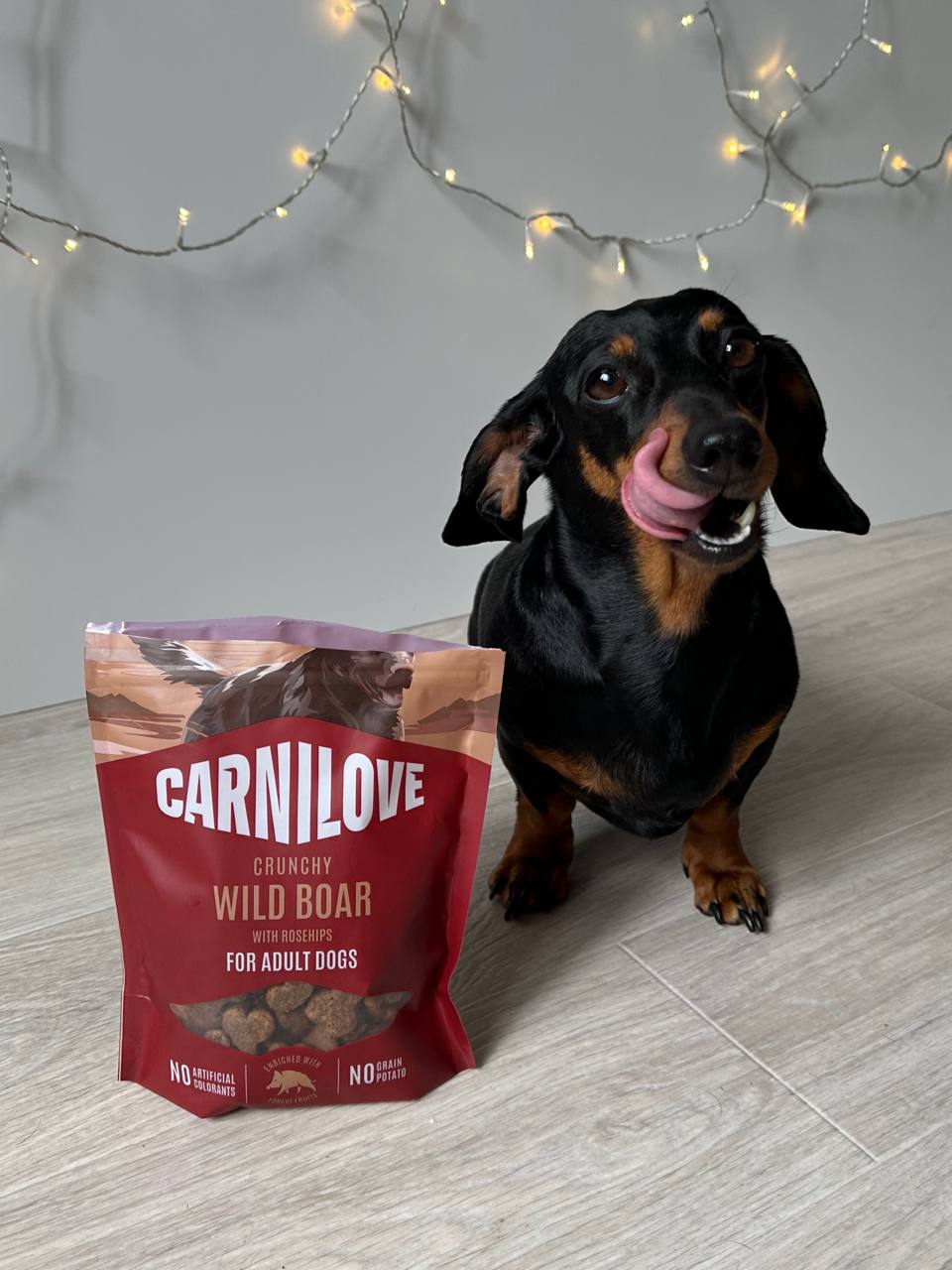Лакомство хрустящие для собак Carnilove Crunchy Snack Wild Boar with Rosehips для активных собак для быстрого восстановления – с диким кабаном и шиповником, 200 г Лакомство хрустящие для собак Carnilove Crunchy Snack Wild Boar with Rosehips для активных собак для быстрого восстановления – с диким кабаном и шиповником, 200 г