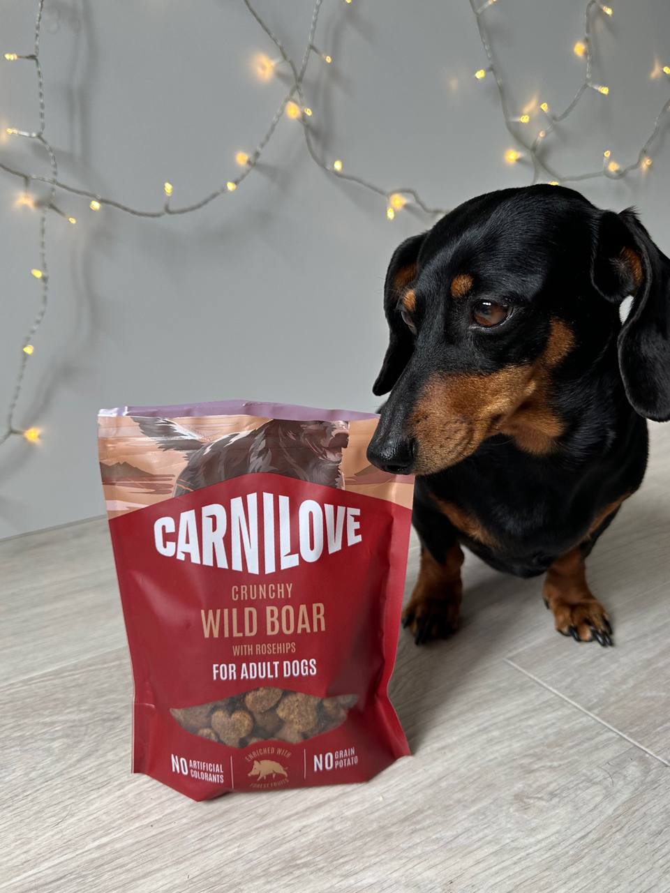 Лакомство хрустящие для собак Carnilove Crunchy Snack Wild Boar with Rosehips для активных собак для быстрого восстановления – с диким кабаном и шиповником, 200 г Лакомство хрустящие для собак Carnilove Crunchy Snack Wild Boar with Rosehips для активных собак для быстрого восстановления – с диким кабаном и шиповником, 200 г
