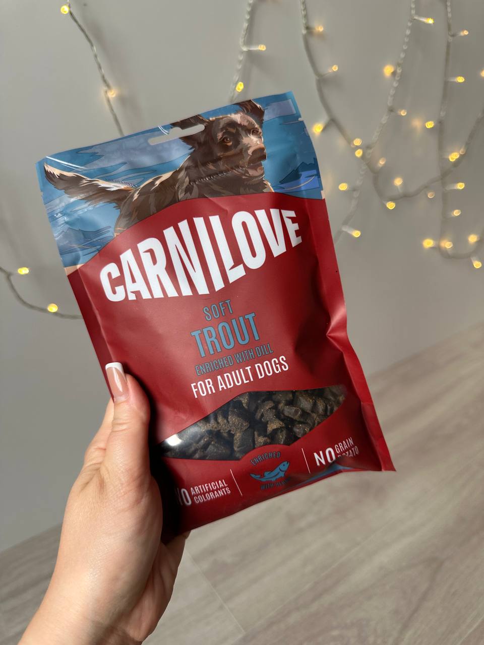 Лакомство мягкое для собак Carnilove Soft Snack Trout with Dill для разнообразия рациона у собак – с форелью и укропом, 200 г Лакомство мягкое для собак Carnilove Soft Snack Trout with Dill для разнообразия рациона у собак – с форелью и укропом, 200 г