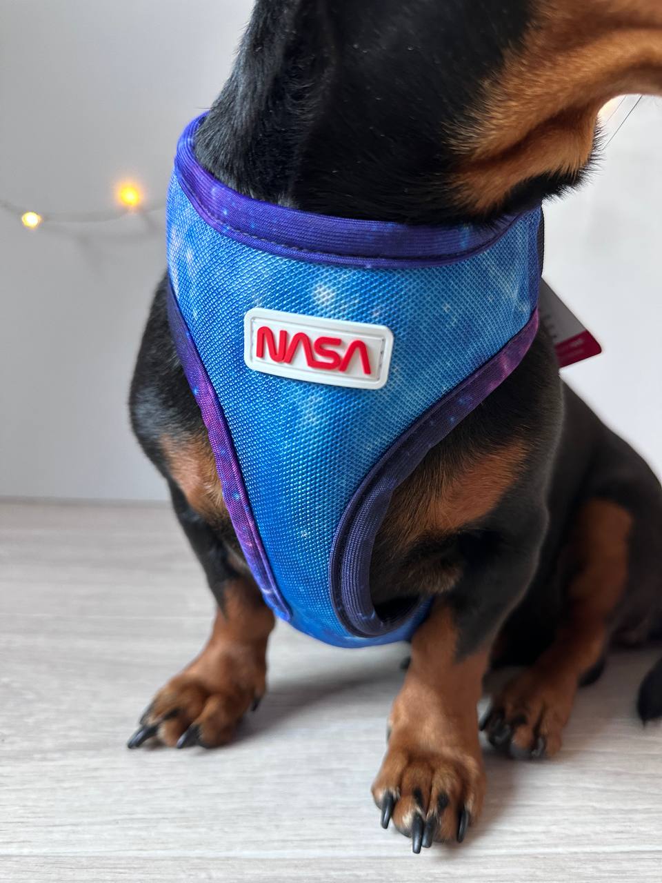 Шлея для собак дихаюча сітчаста WAUDOG Mesh c QR адресником, NASA21 Шлея для собак дихаюча сітчаста WAUDOG Mesh c QR адресником, NASA21