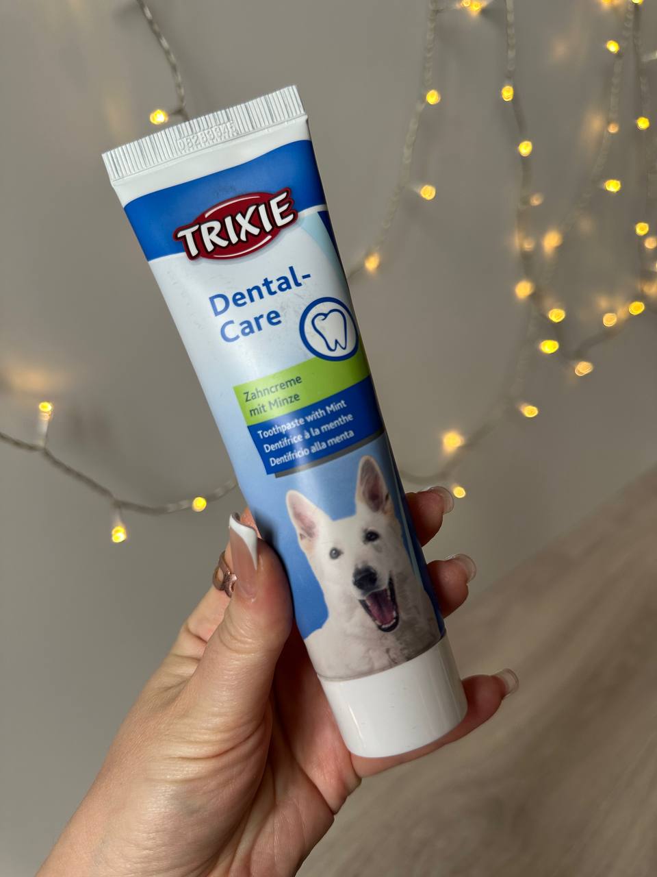 Зубна паста Trixie для собак з м'ятою, 100 г Зубна паста Trixie для собак з м'ятою, 100 г