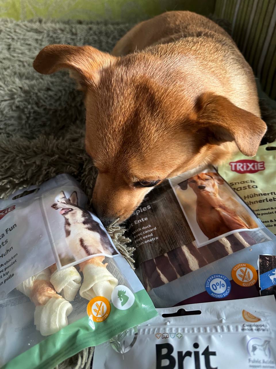 Лакомство для собак Trixie Denta Fun Chicken Chewing Bone Кость для чистки зубов с курицей 5 см, 70 г/5 шт. Лакомство для собак Trixie Denta Fun Chicken Chewing Bone Кость для чистки зубов с курицей 5 см, 70 г/5 шт.
