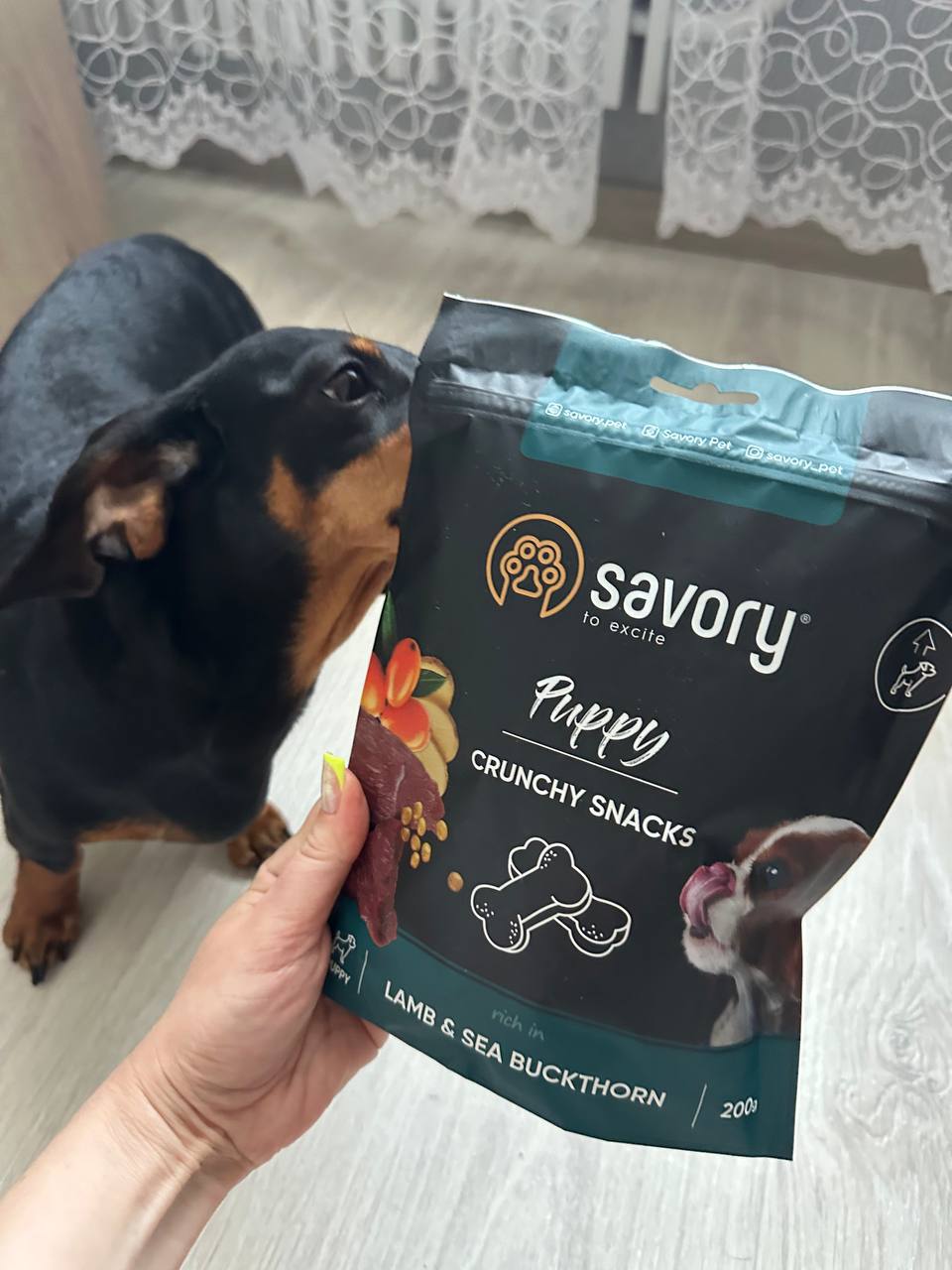 Ласощі для цуценят Savory Puppies Lamb and Sea Buckthorn для здорового росту – з ягням та обліпихою, 200 г Ласощі для цуценят Savory Puppies Lamb and Sea Buckthorn для здорового росту – з ягням та обліпихою, 200 г