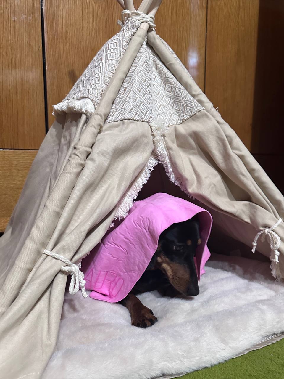 Домик-вигвам для собак и кошек Trixie Бохо, бежевый, 55х65х55 см Домик-вигвам для собак и кошек Trixie Бохо, бежевый, 55х65х55 см