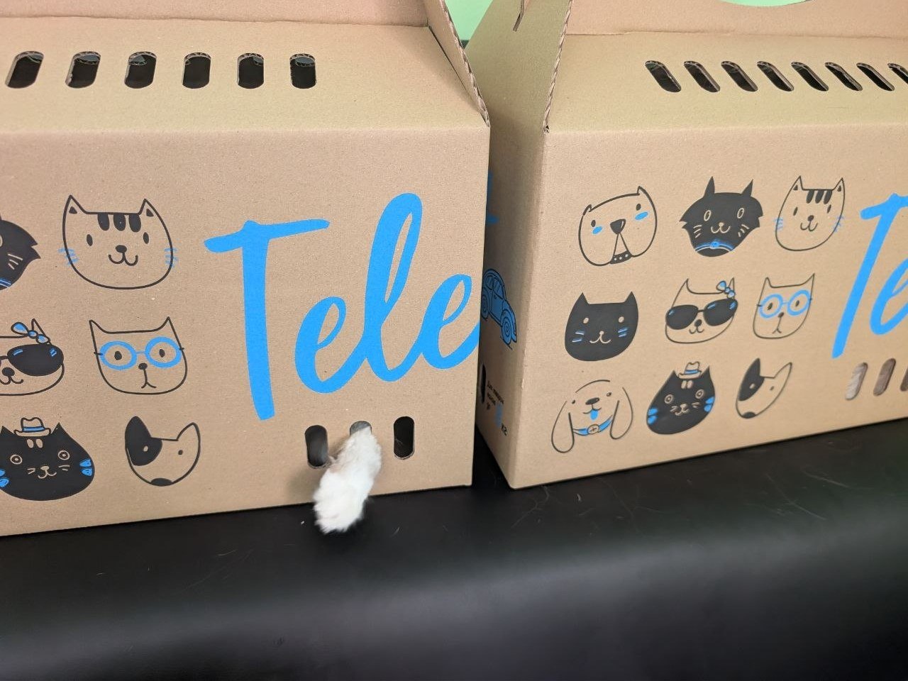 Коробка-переноска TelePet для котов до 8 кг, 45,5*22*43,5 см Коробка-переноска TelePet для котов до 8 кг, 45,5*22*43,5 см