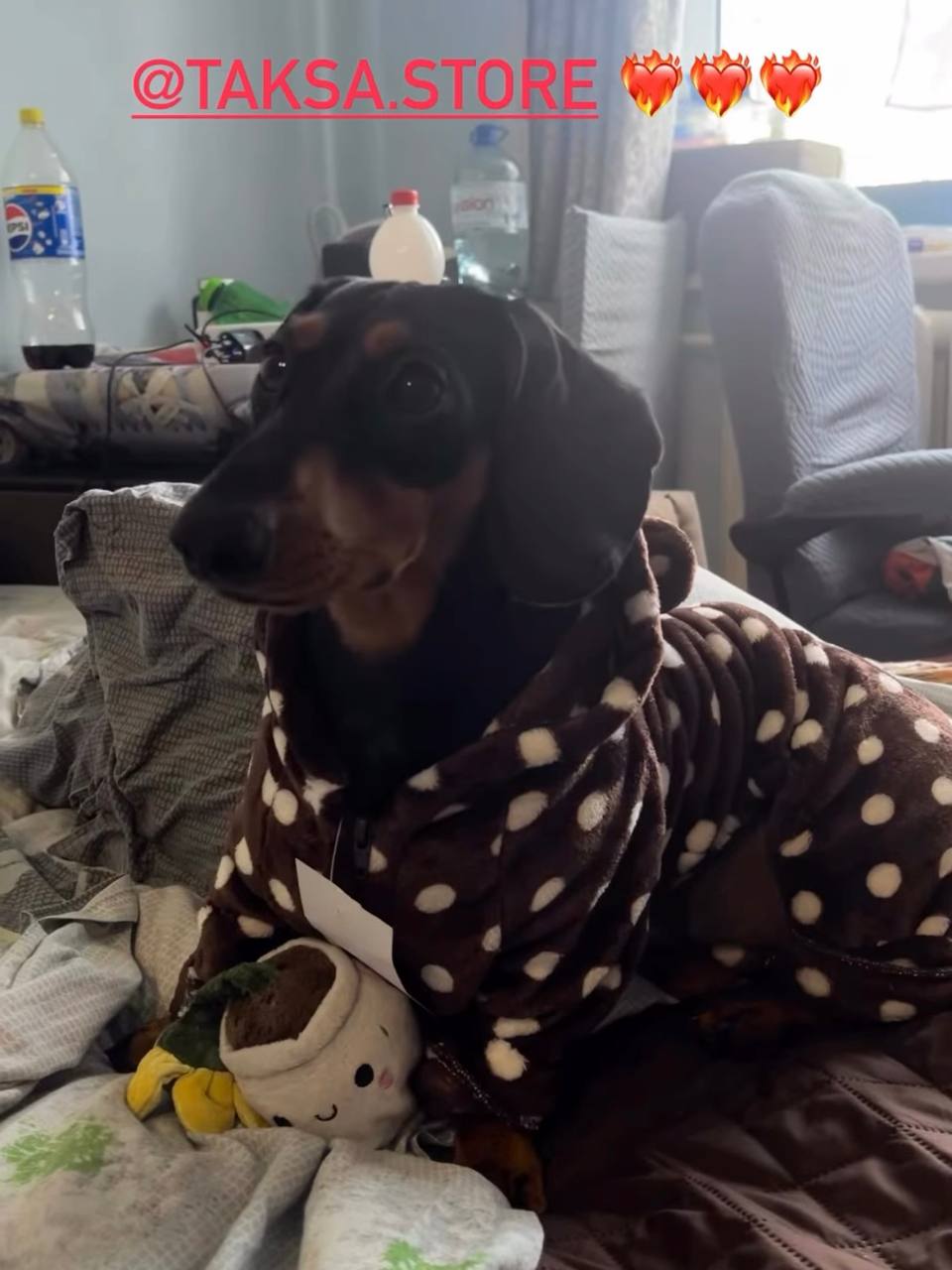 Пижама махровая для собак DogsBomba Горошек, коричневый Пижама махровая для собак DogsBomba Горошек, коричневый