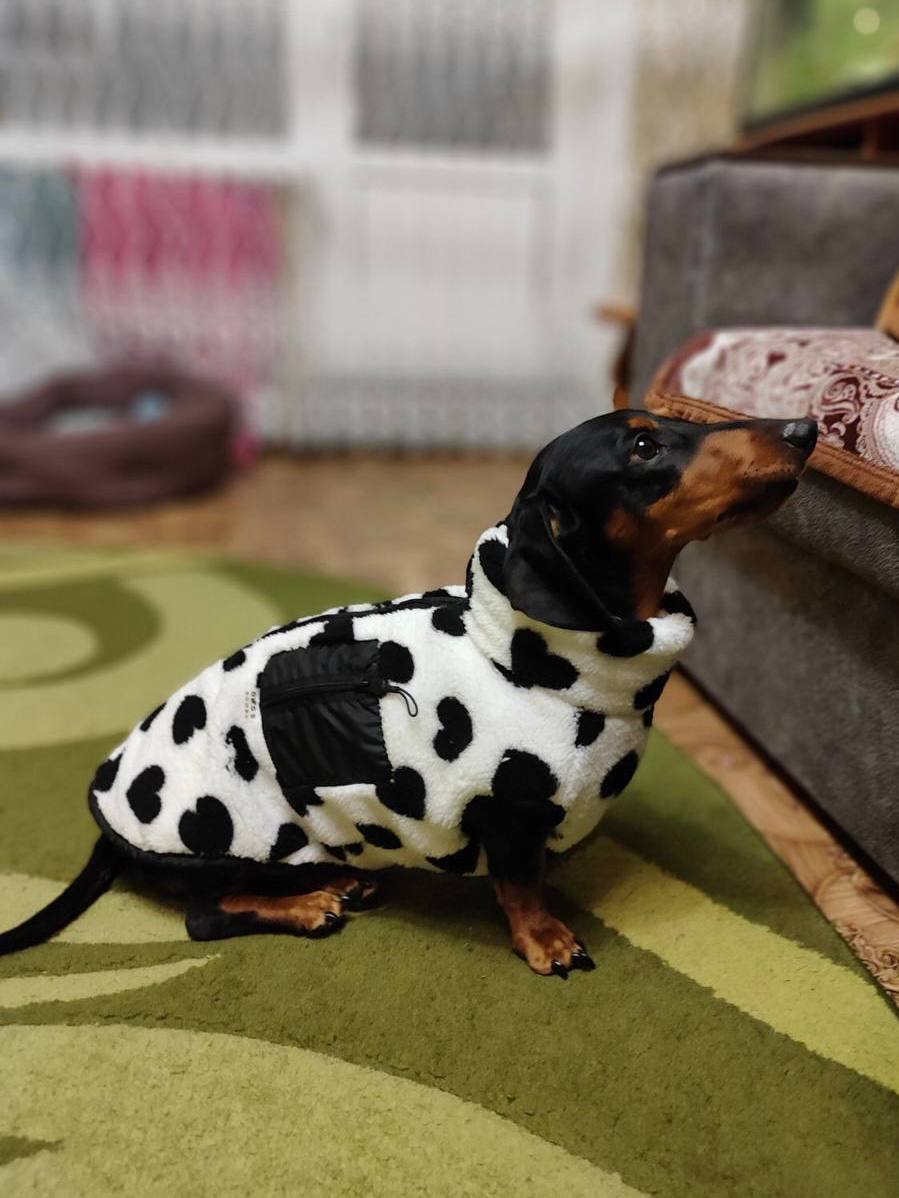 Жилет для собак флисовый DogsBomba Teddy, черно-белый, сердца Жилет для собак флисовый DogsBomba Teddy, черно-белый, сердца