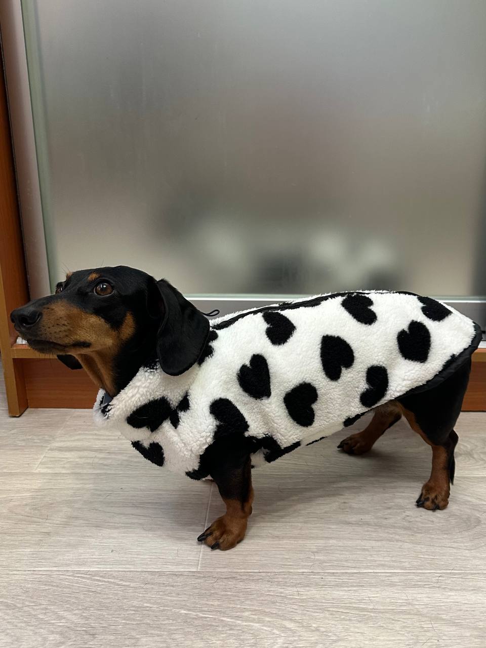 Жилет для собак флисовый DogsBomba Teddy, черно-белый, сердца Жилет для собак флисовый DogsBomba Teddy, черно-белый, сердца