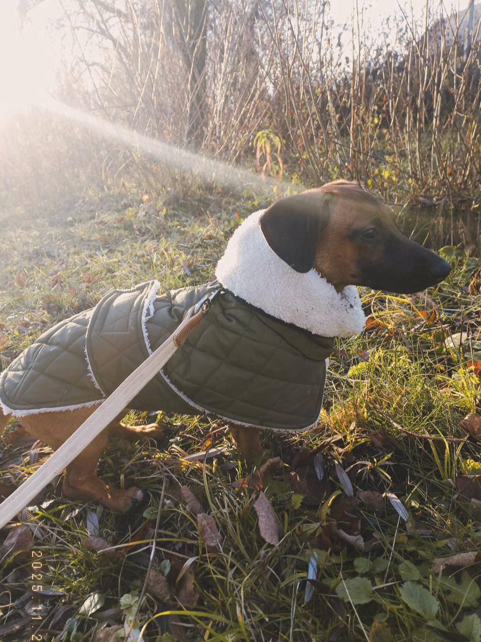 Жилет для собак DogsBomba на липучке, хаки Жилет для собак DogsBomba на липучке, хаки