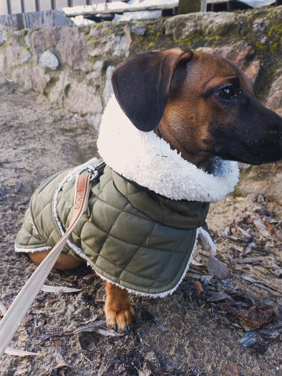 Жилет для собак DogsBomba на липучке, хаки Жилет для собак DogsBomba на липучке, хаки
