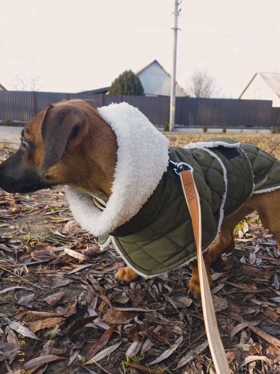 Жилет для собак DogsBomba на липучке, хаки Жилет для собак DogsBomba на липучке, хаки