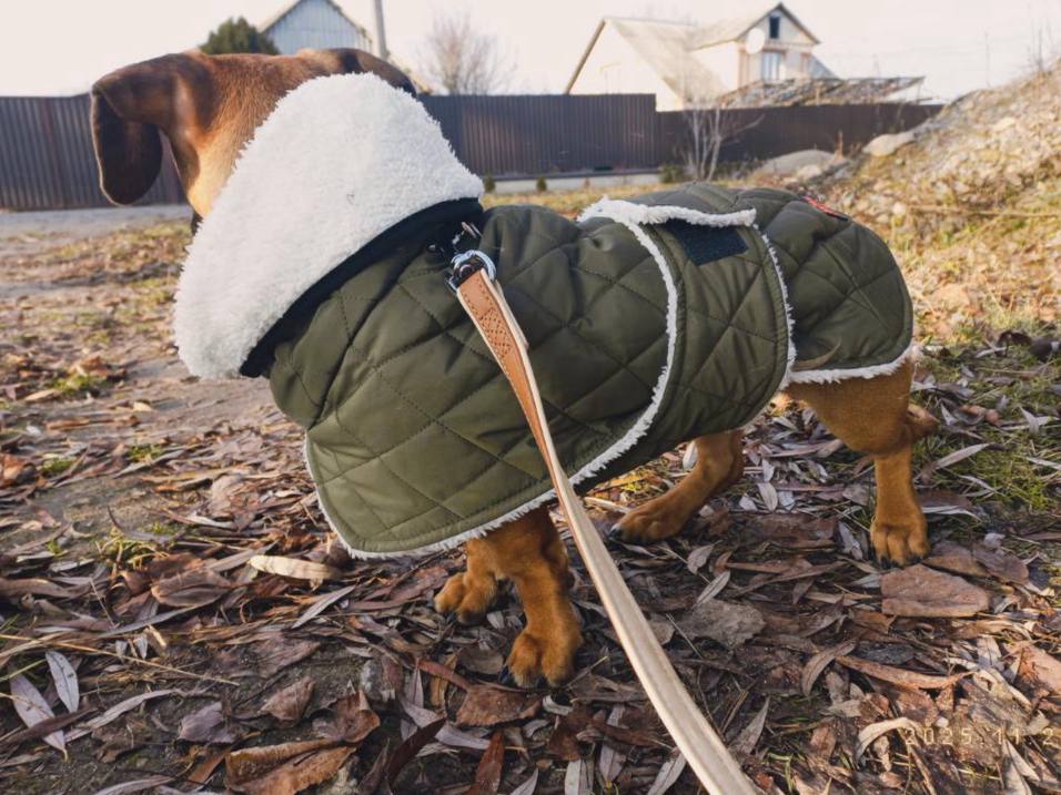 Жилет для собак DogsBomba на липучке, хаки Жилет для собак DogsBomba на липучке, хаки