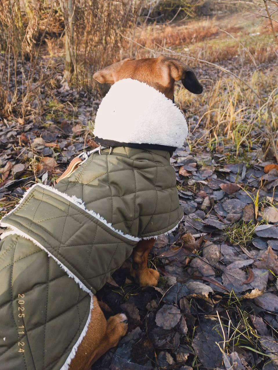 Жилет для собак DogsBomba на липучке, хаки Жилет для собак DogsBomba на липучке, хаки