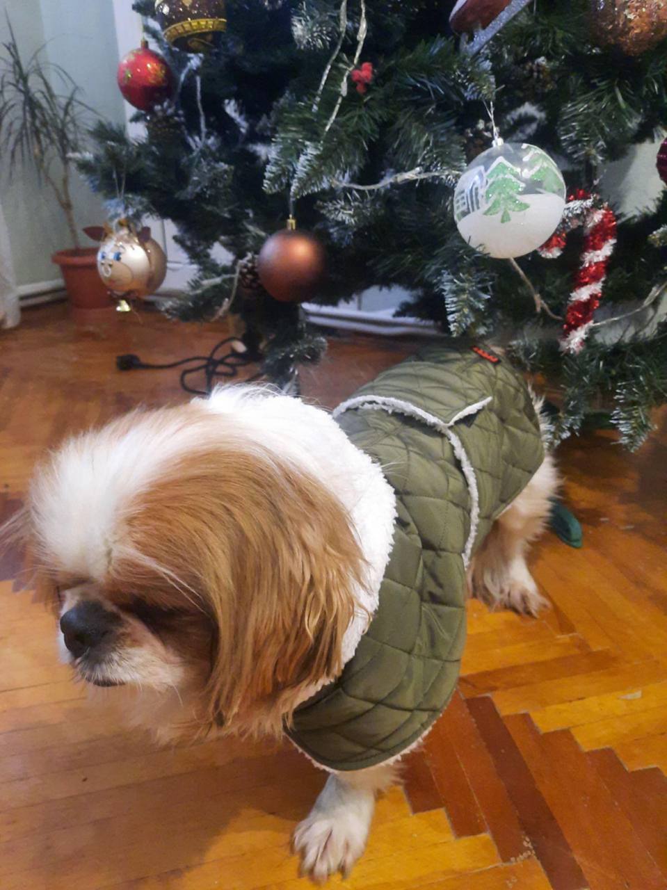 Жилет для собак DogsBomba на липучке, хаки Жилет для собак DogsBomba на липучке, хаки