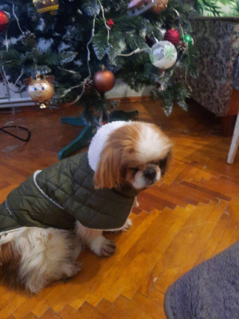Жилет для собак DogsBomba на липучке, хаки Жилет для собак DogsBomba на липучке, хаки