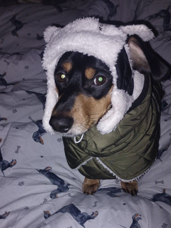 Жилет для собак DogsBomba на липучке, хаки Жилет для собак DogsBomba на липучке, хаки