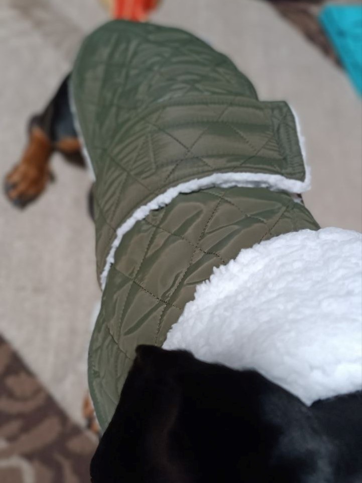 Жилет для собак DogsBomba на липучке, хаки Жилет для собак DogsBomba на липучке, хаки