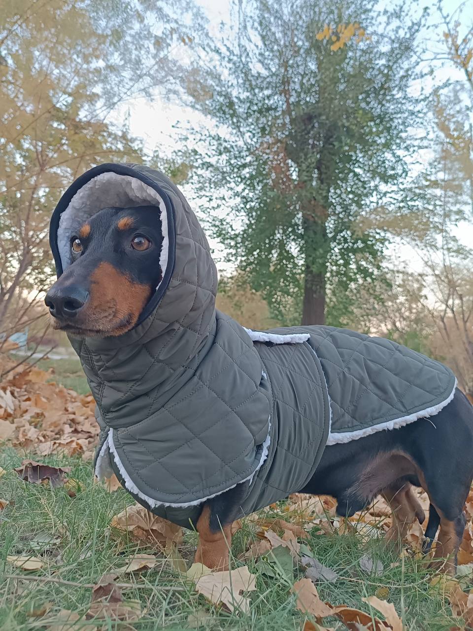 Жилет для собак DogsBomba на липучке, хаки Жилет для собак DogsBomba на липучке, хаки