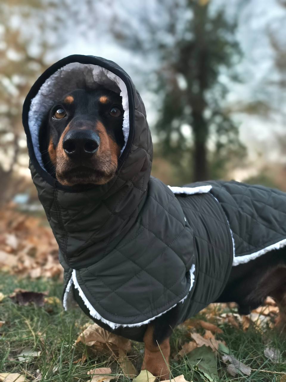 Жилет для собак DogsBomba на липучке, хаки Жилет для собак DogsBomba на липучке, хаки