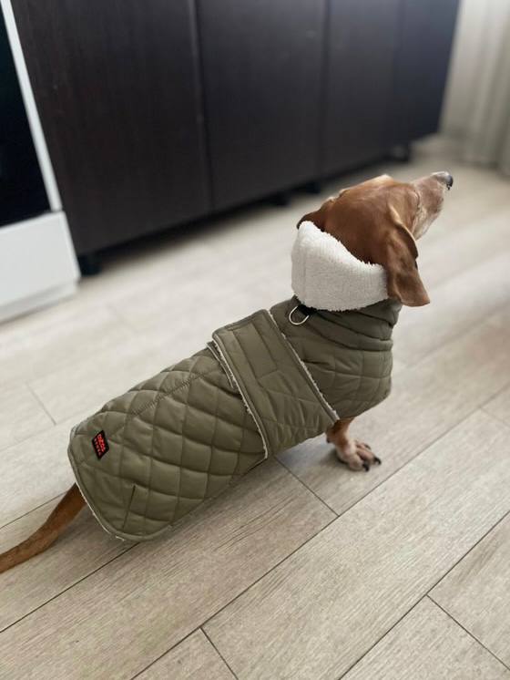 Жилет для собак DogsBomba на липучке, хаки Жилет для собак DogsBomba на липучке, хаки