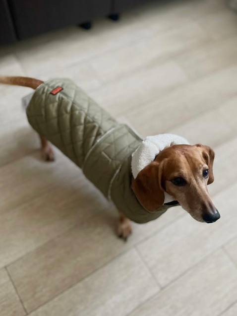 Жилет для собак DogsBomba на липучке, хаки Жилет для собак DogsBomba на липучке, хаки