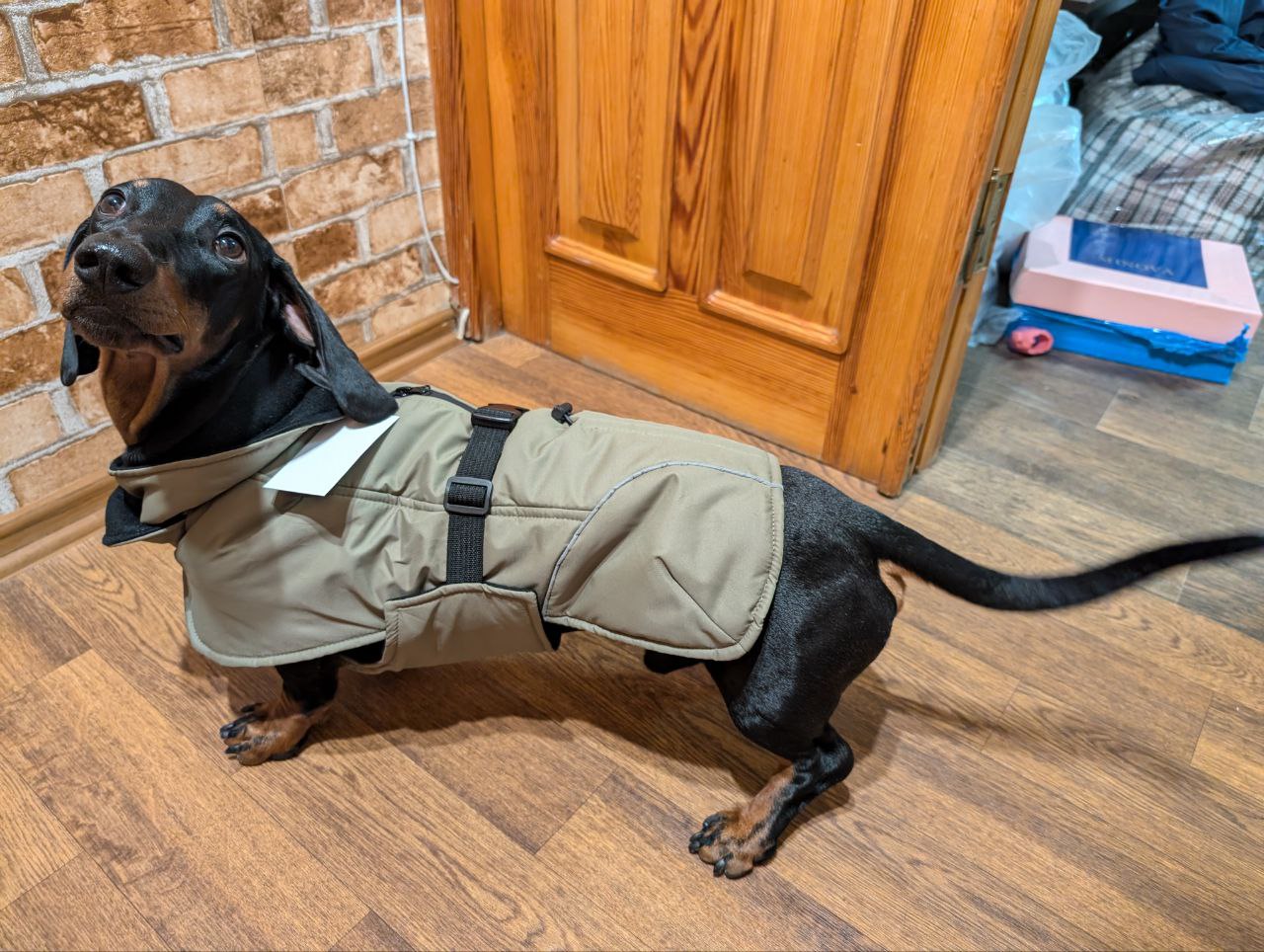 Жилет-попона для собак DogsBomba, хаки Жилет-попона для собак DogsBomba, хаки