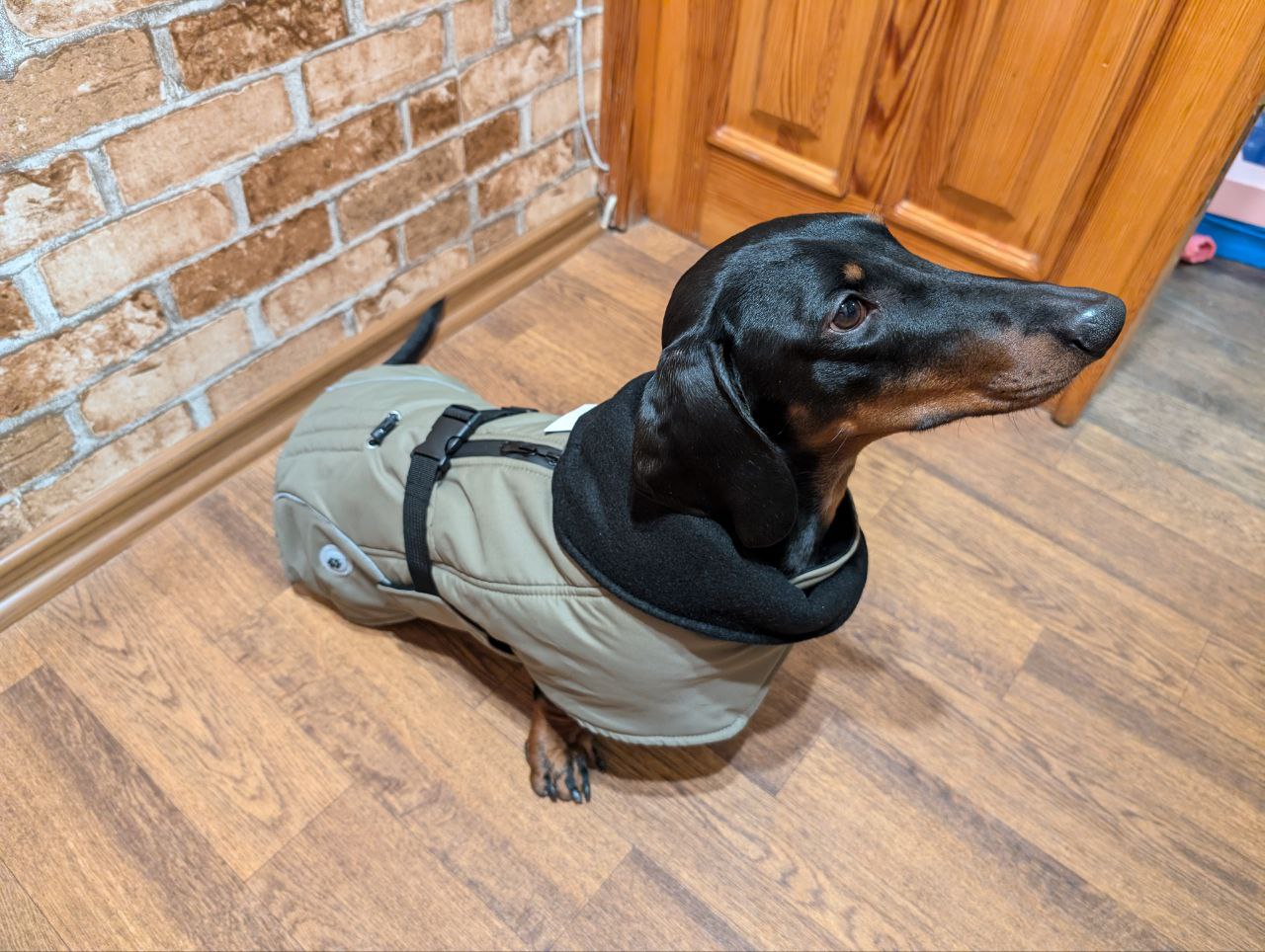Жилет-попона для собак DogsBomba, хаки Жилет-попона для собак DogsBomba, хаки