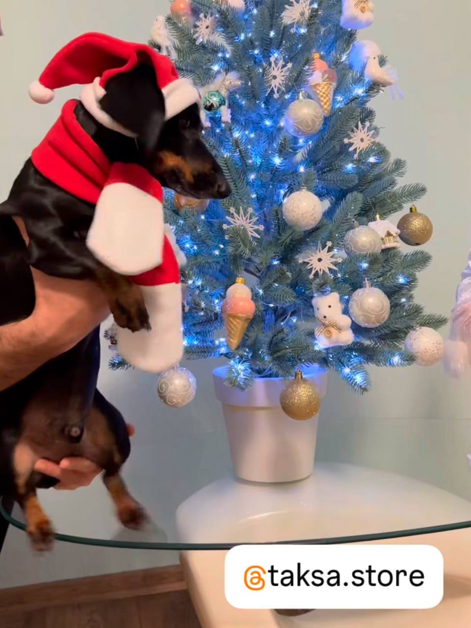 Новогодний набор (шапка Санты + шарф) для собак HatDog Новогодний набор (шапка Санты + шарф) для собак HatDog