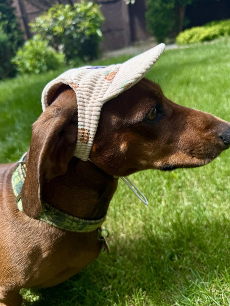 Кепка для собак из вельвета HatDog, Ананас Кепка для собак из вельвета HatDog, Ананас