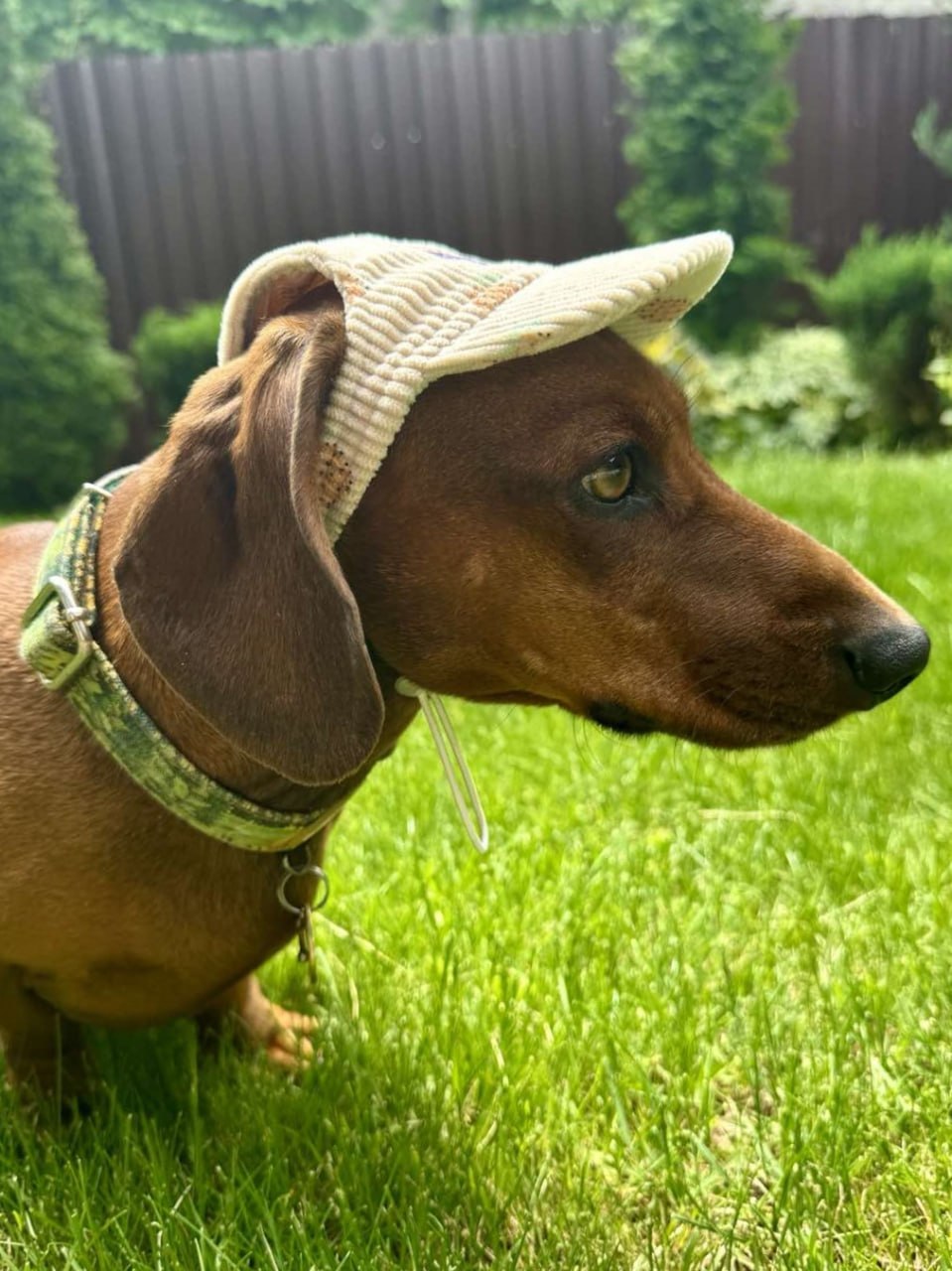 Кепка для собак из вельвета HatDog, Ананас Кепка для собак из вельвета HatDog, Ананас