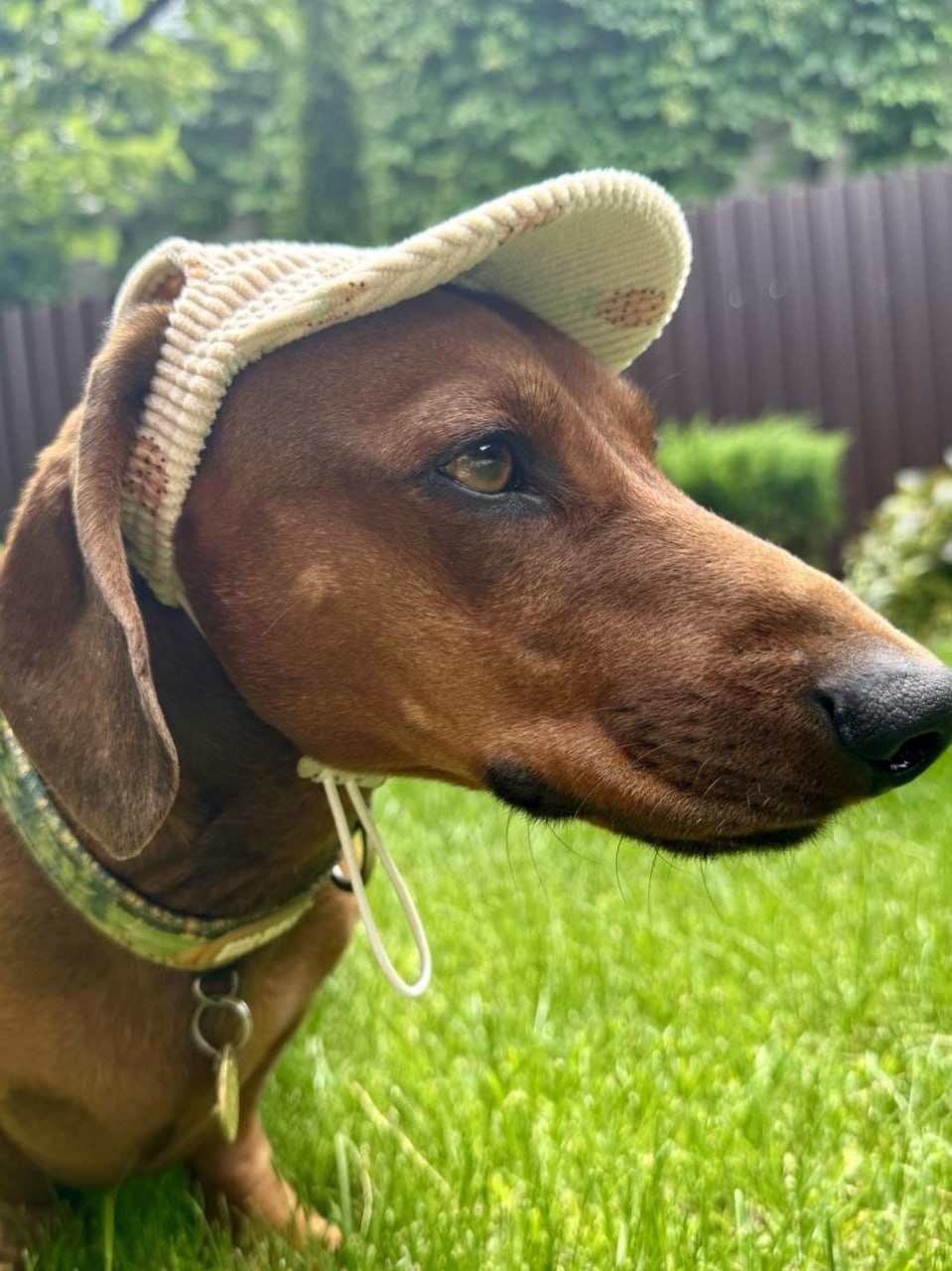 Кепка для собак из вельвета HatDog, Ананас Кепка для собак из вельвета HatDog, Ананас