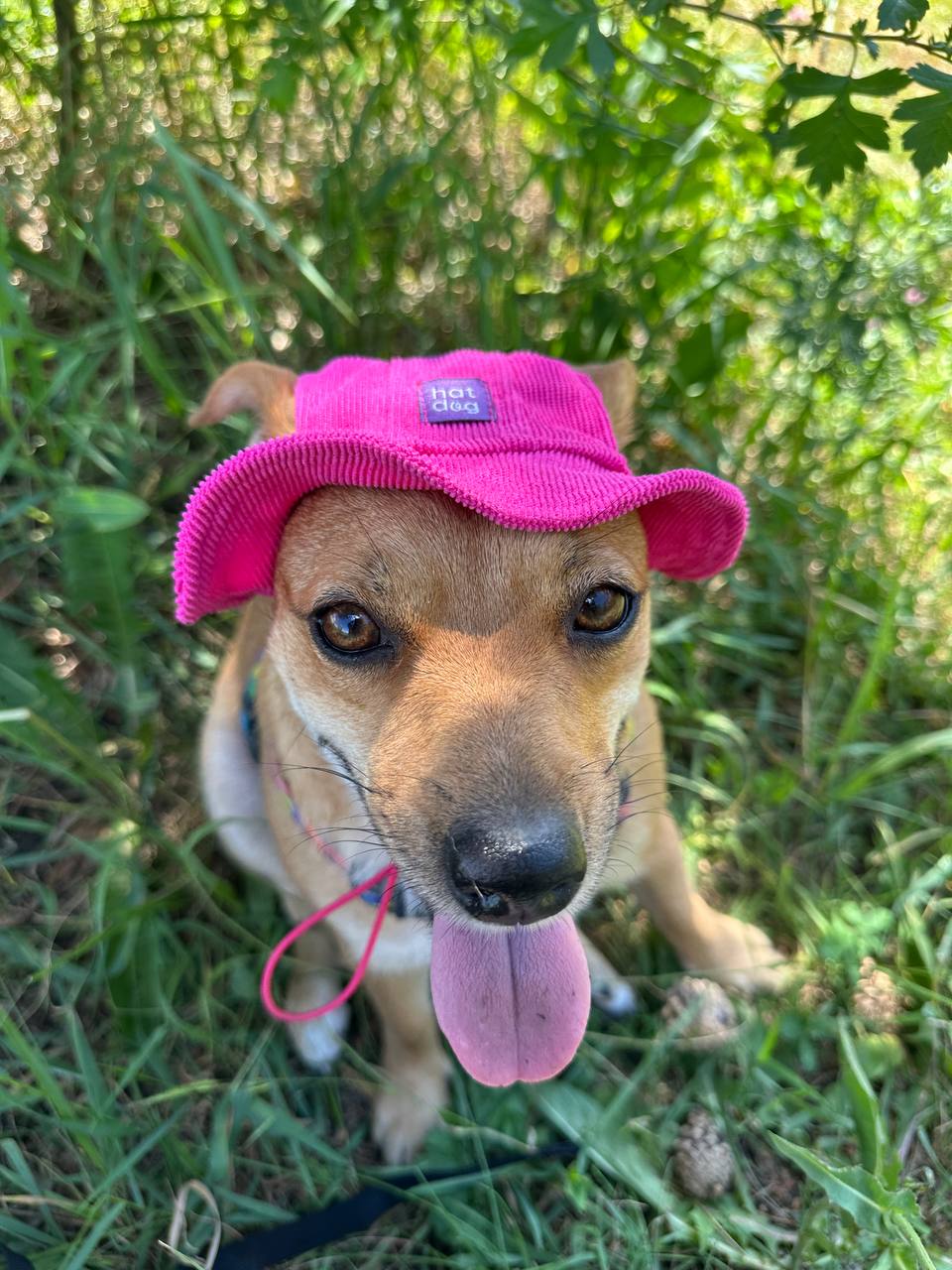 Панама для собак из вельвета HatDog, малиновая Панама для собак из вельвета HatDog, малиновая