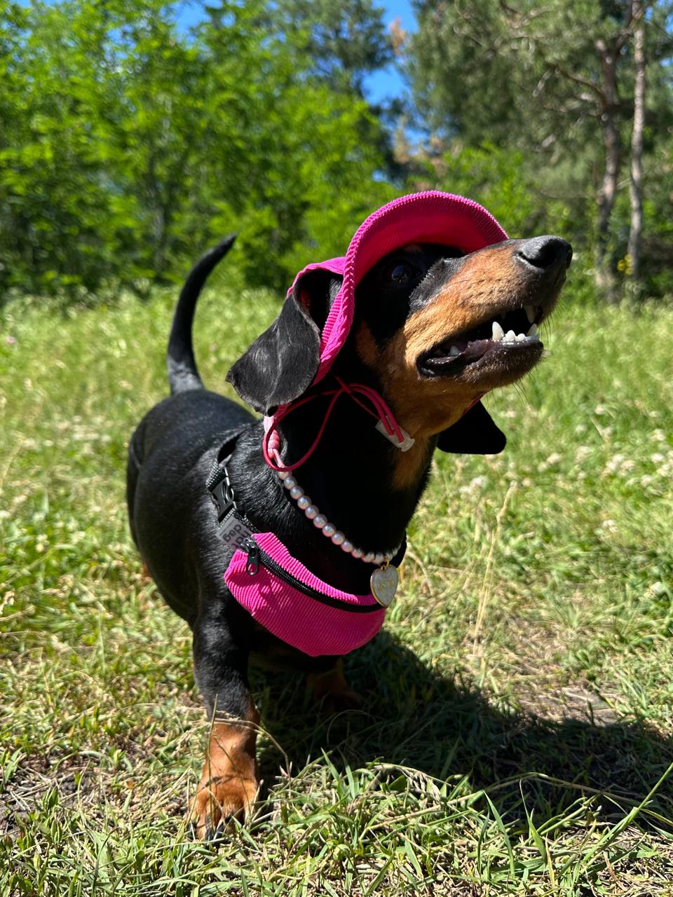 Панама для собак из вельвета HatDog, малиновая Панама для собак из вельвета HatDog, малиновая